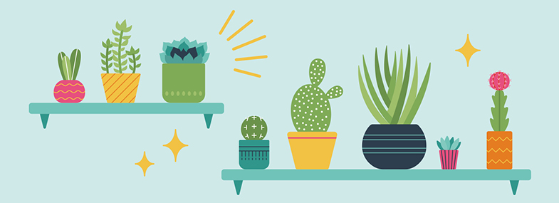 The Definitive Guide to Cacti & Succulents for beginners