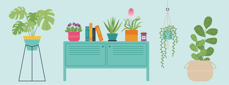 The Ultimate Guide to Indoor Plants