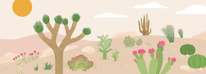 Extraordinary Desert Plants That Grow in the Harshest Environments