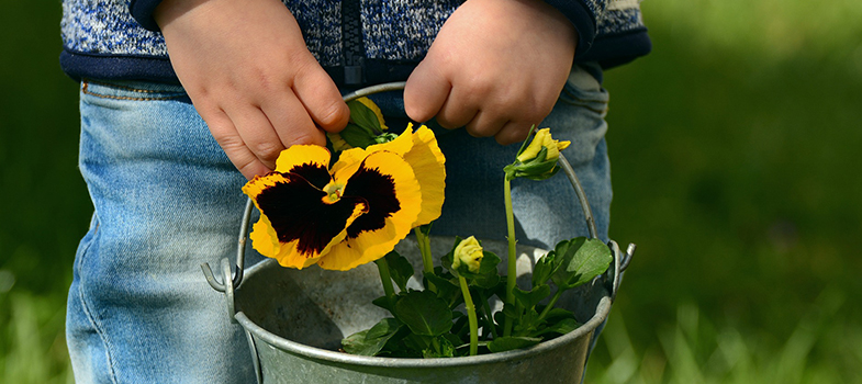 Child holding flower plant